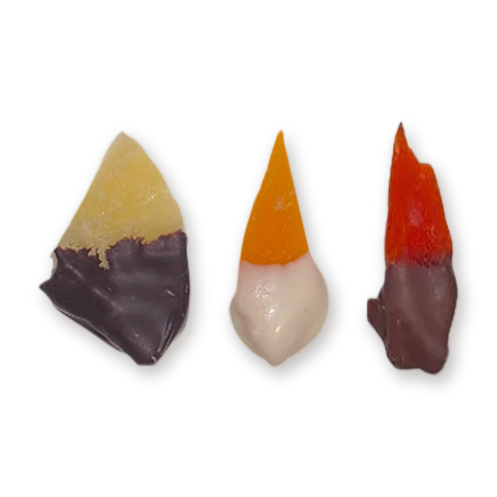 Chocolate dipped dried pineapple, mango and papaya from The Sweet Tooth