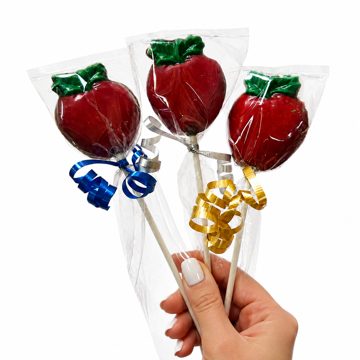 Sukkot chocolate apple lollipop wrapped in cellophane with ribbon